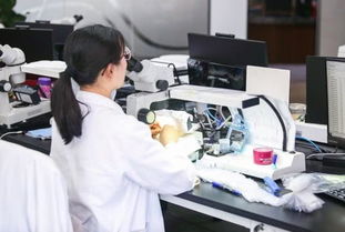 品牌缺位、真伪难辨、款式单一 珠宝业触网求变，供应链是关键突破口